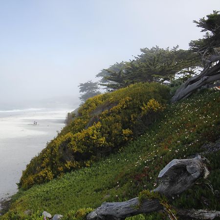 Отель Le Petit Pali At Ocean Ave Carmel-by-the-Sea Экстерьер фото