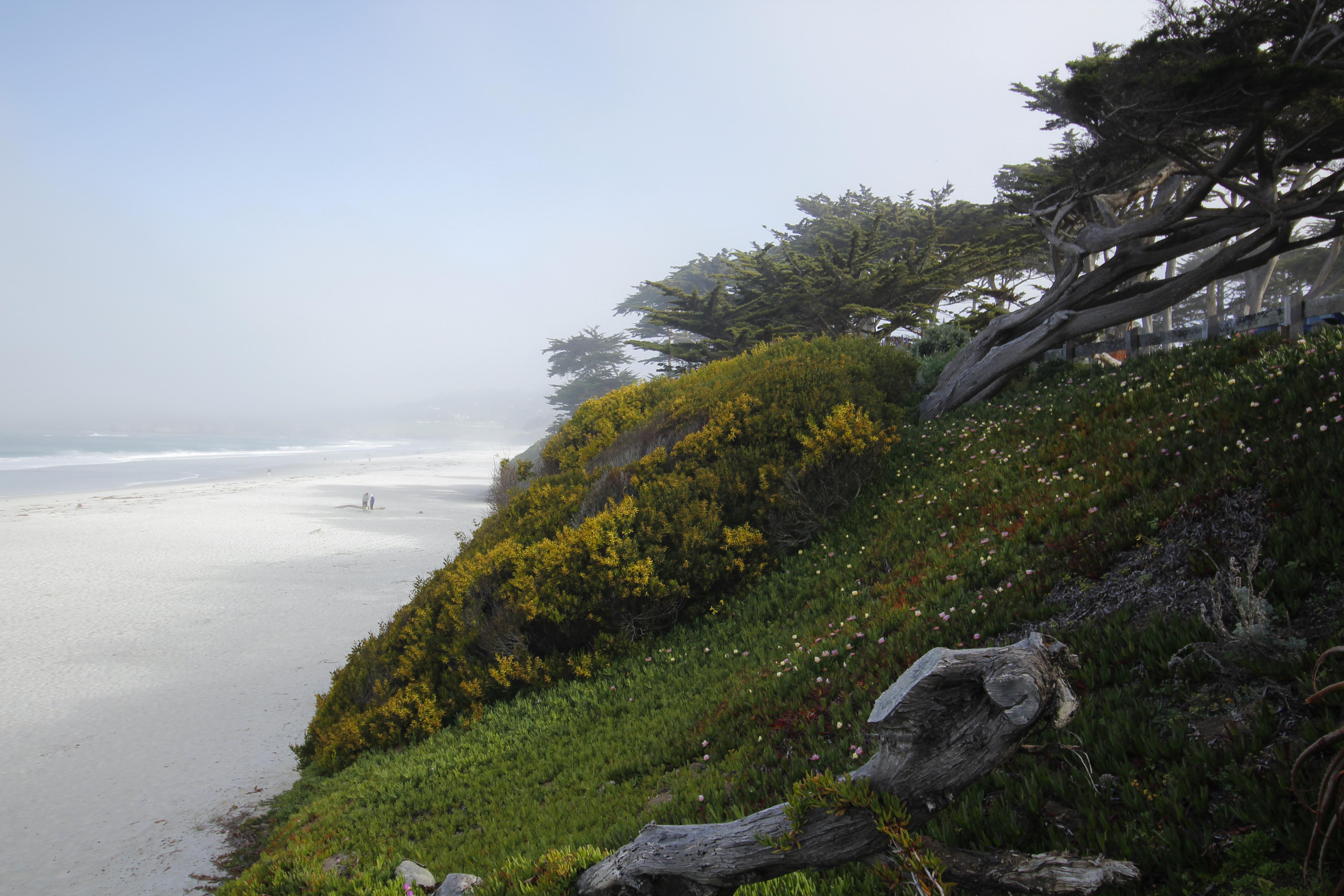 Отель Le Petit Pali At Ocean Ave Carmel-by-the-Sea Экстерьер фото