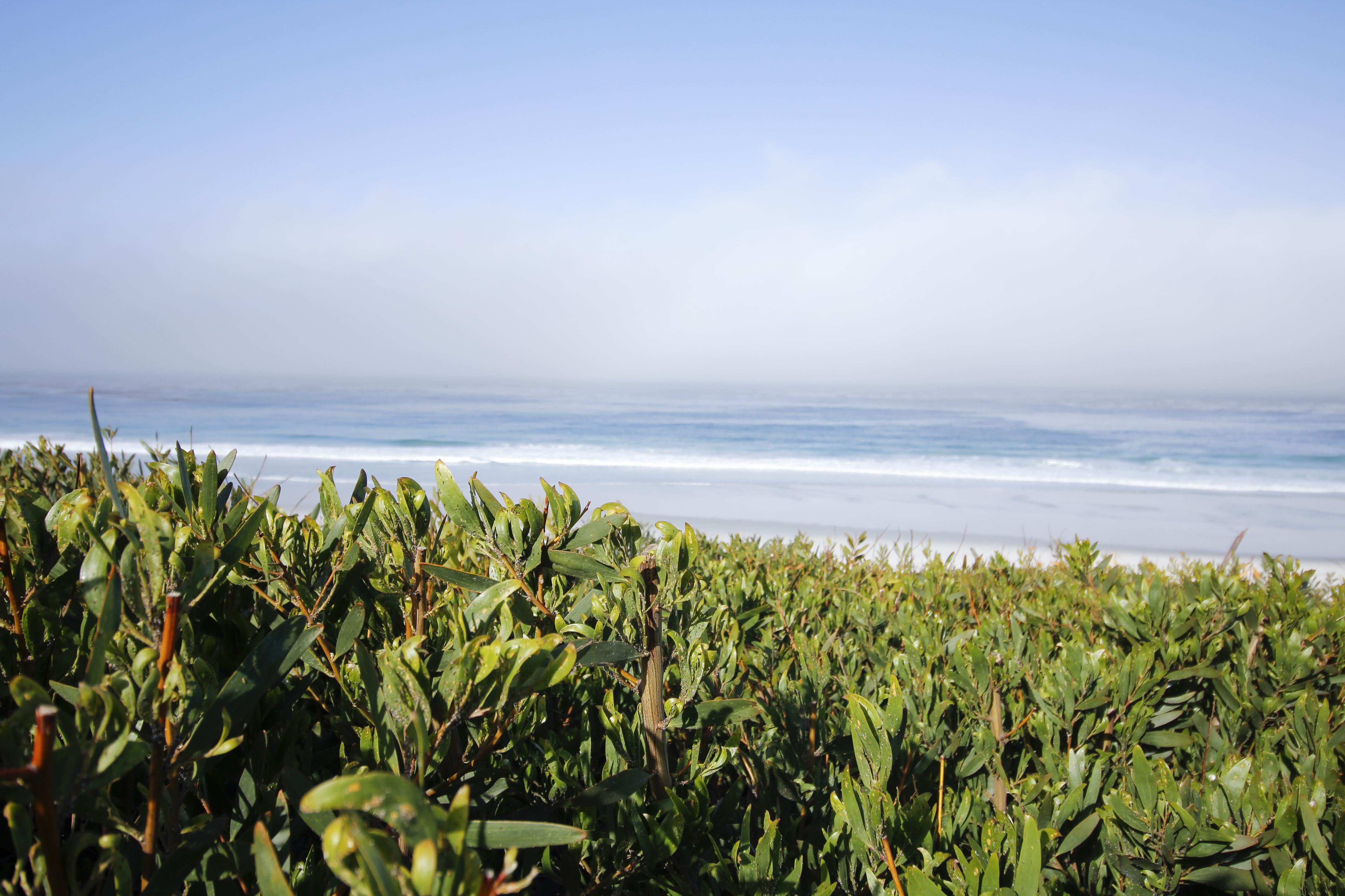 Отель Le Petit Pali At Ocean Ave Carmel-by-the-Sea Экстерьер фото